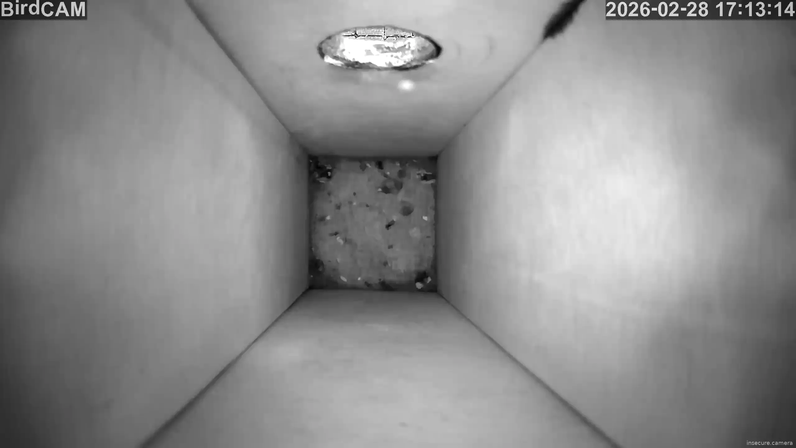 Capture from Feb 28, 2026 at 04:13 PM