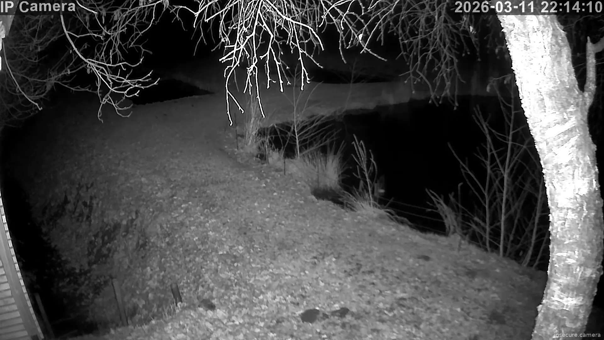 Capture from Mar 11, 2026 at 09:14 PM