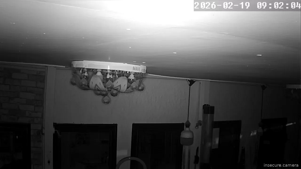 Capture from Feb 19, 2026 at 01:02 AM