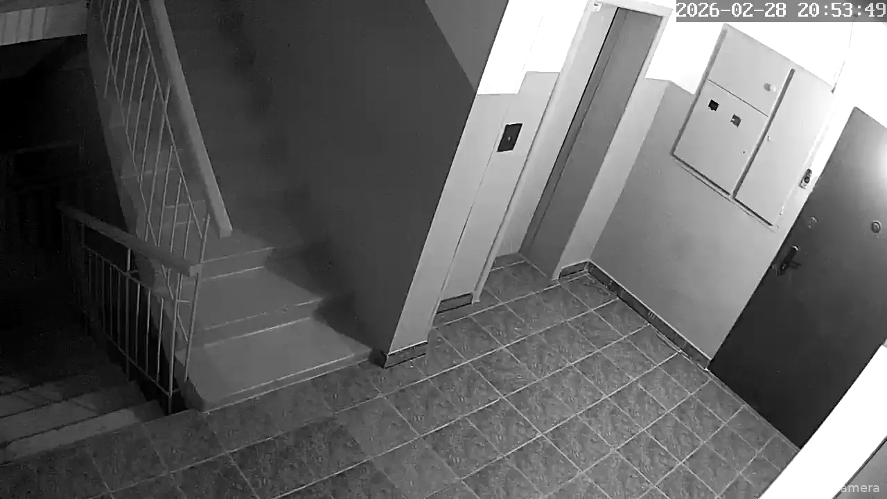 Capture from Feb 28, 2026 at 03:54 PM