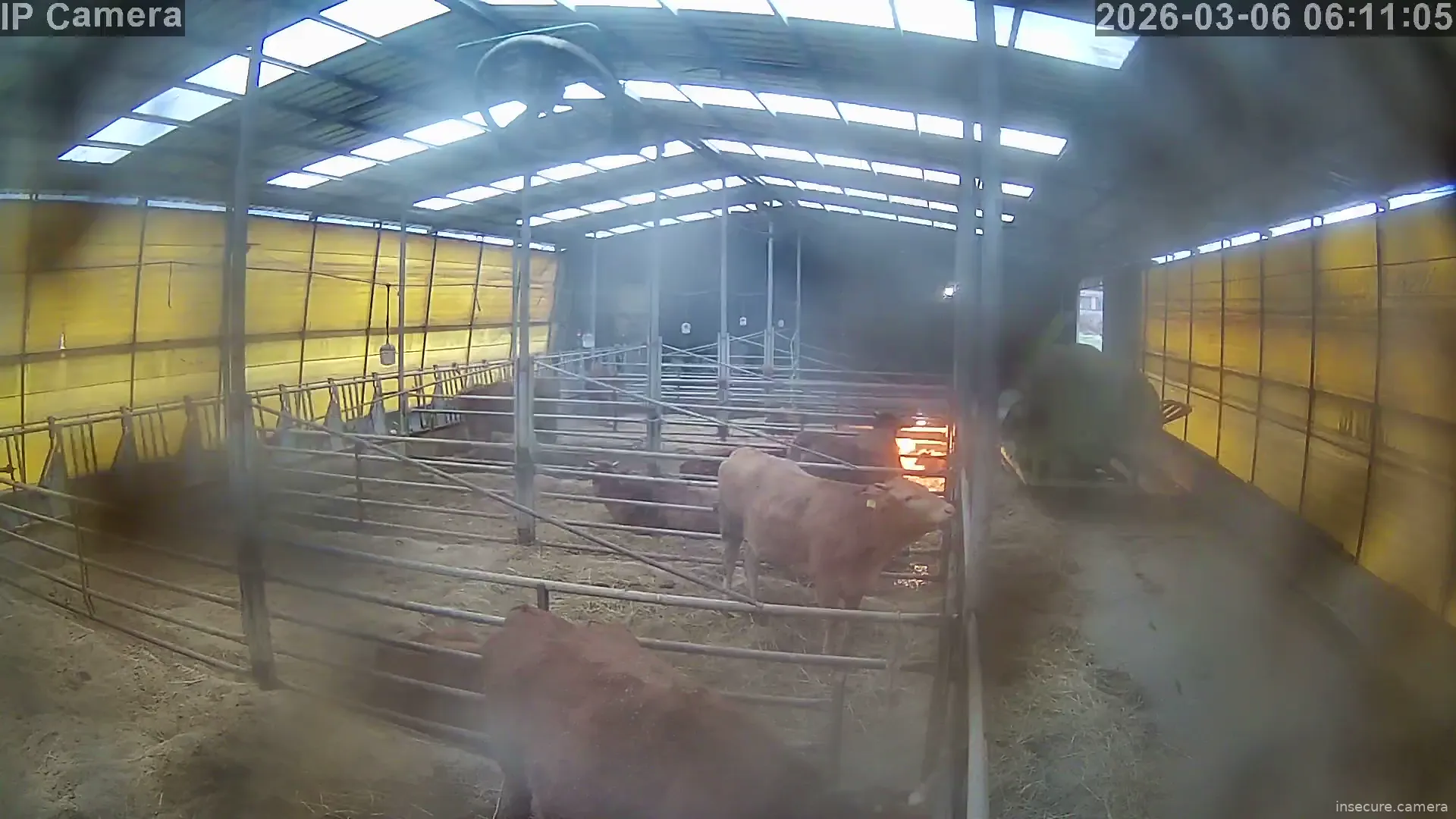 Capture from Mar 05, 2026 at 10:11 PM