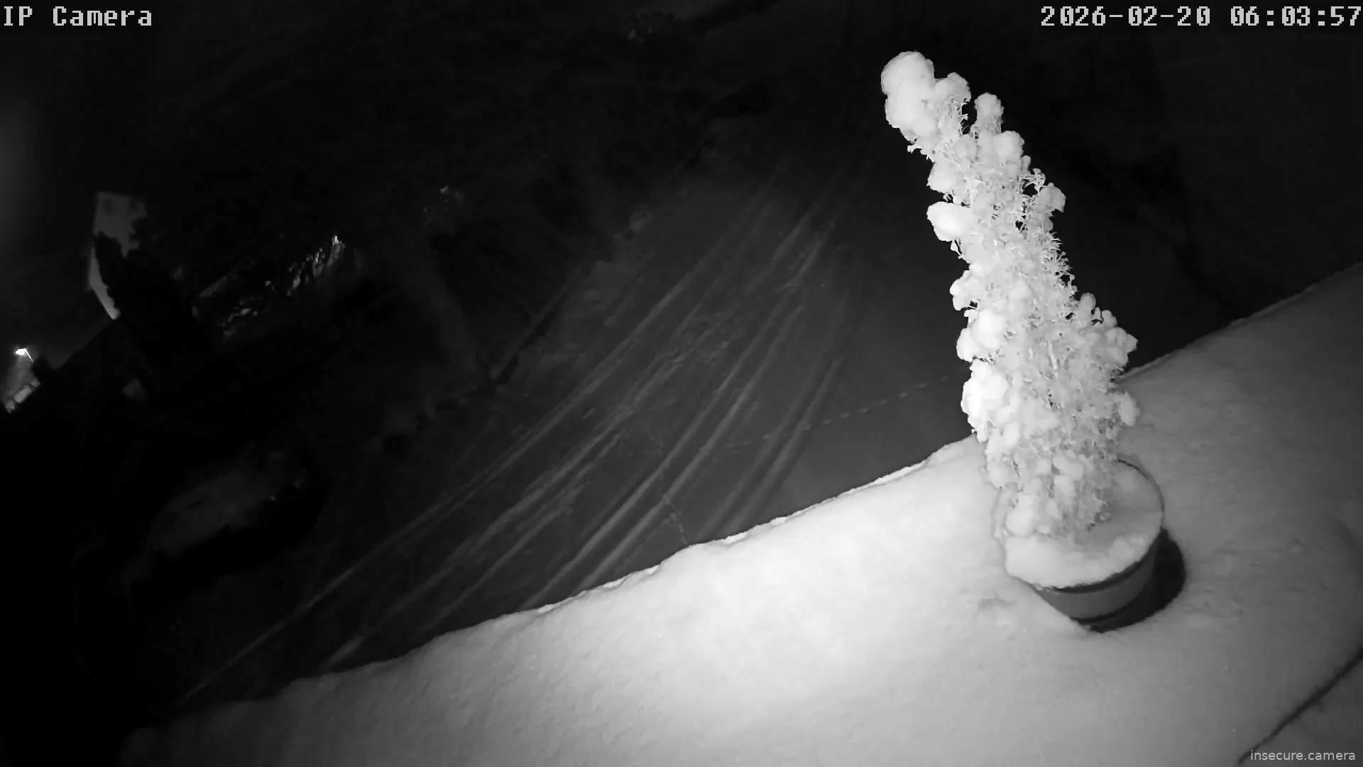 Capture from Feb 19, 2026 at 10:04 PM