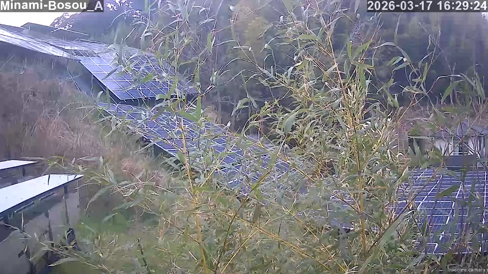 Capture from Mar 17, 2026 at 07:29 AM