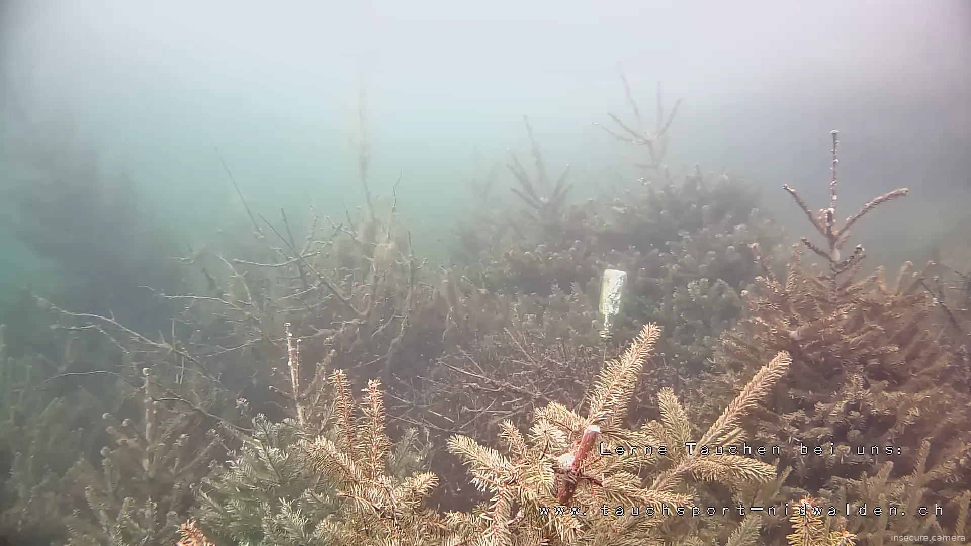 Capture from Mar 06, 2026 at 09:10 AM