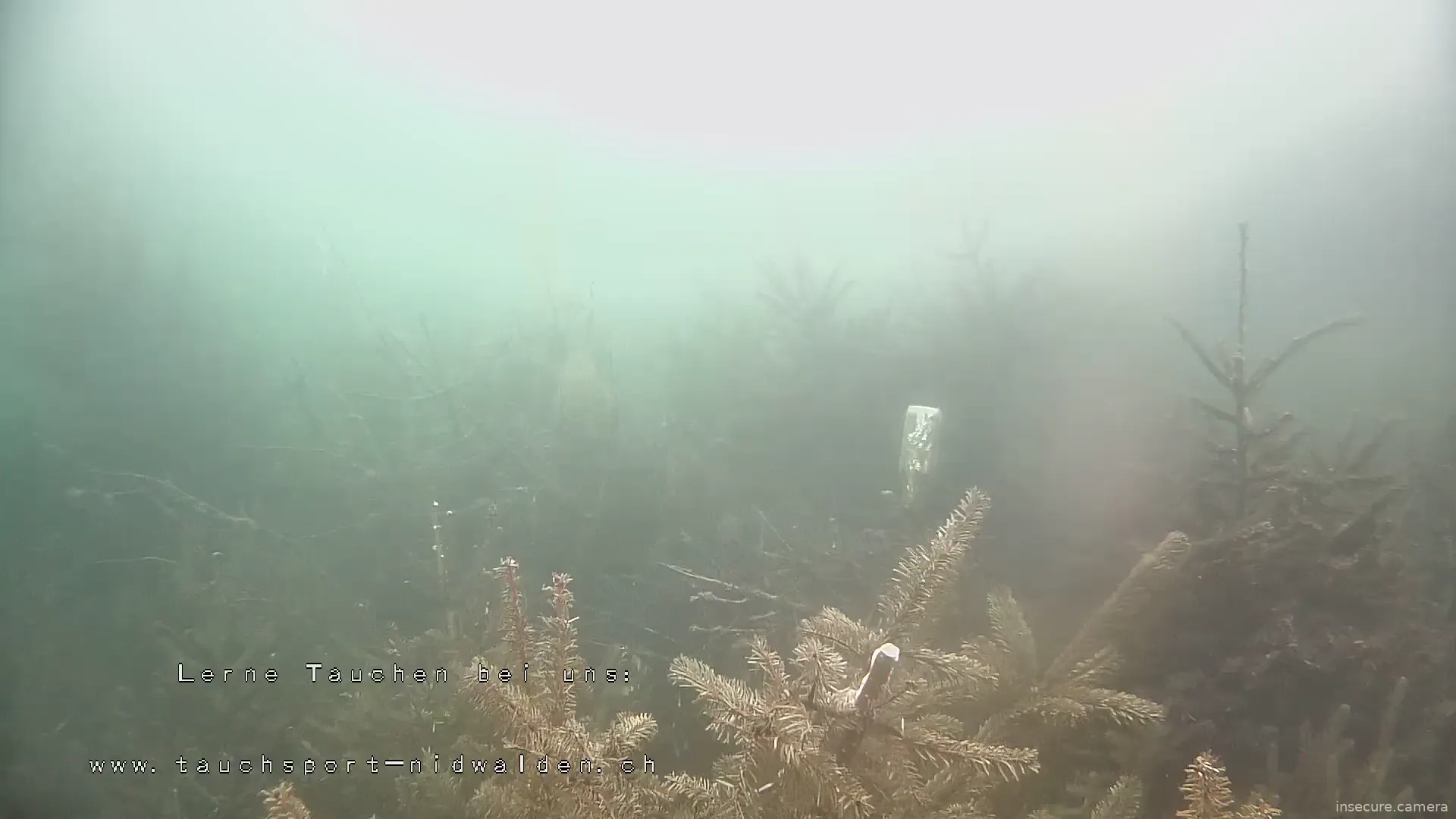 Capture from Mar 20, 2026 at 05:28 PM