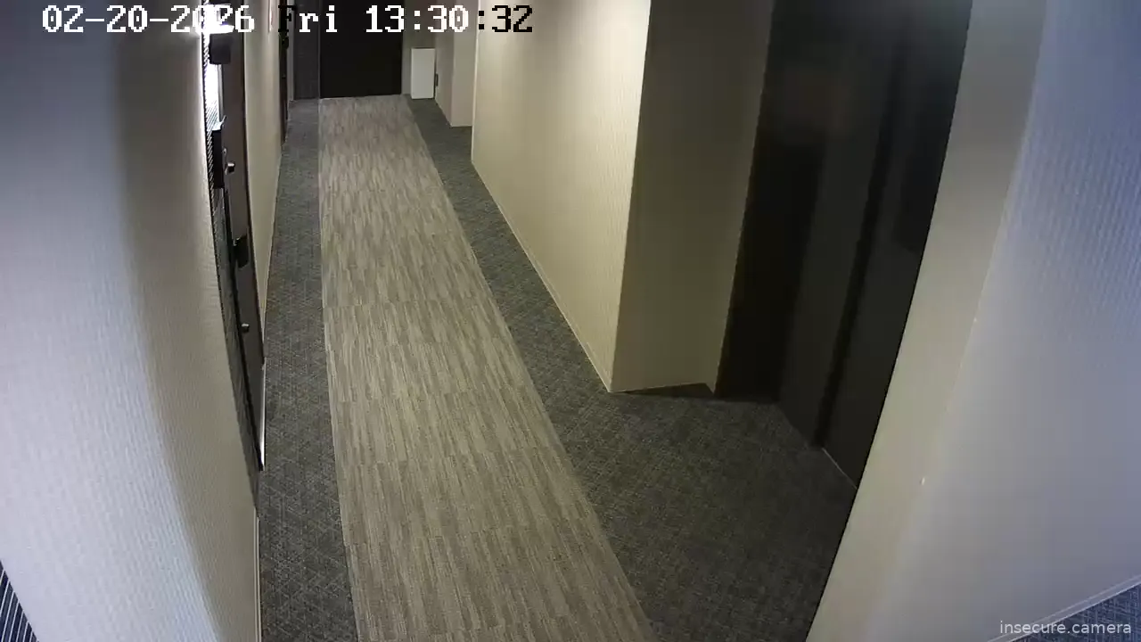Camera in Japan