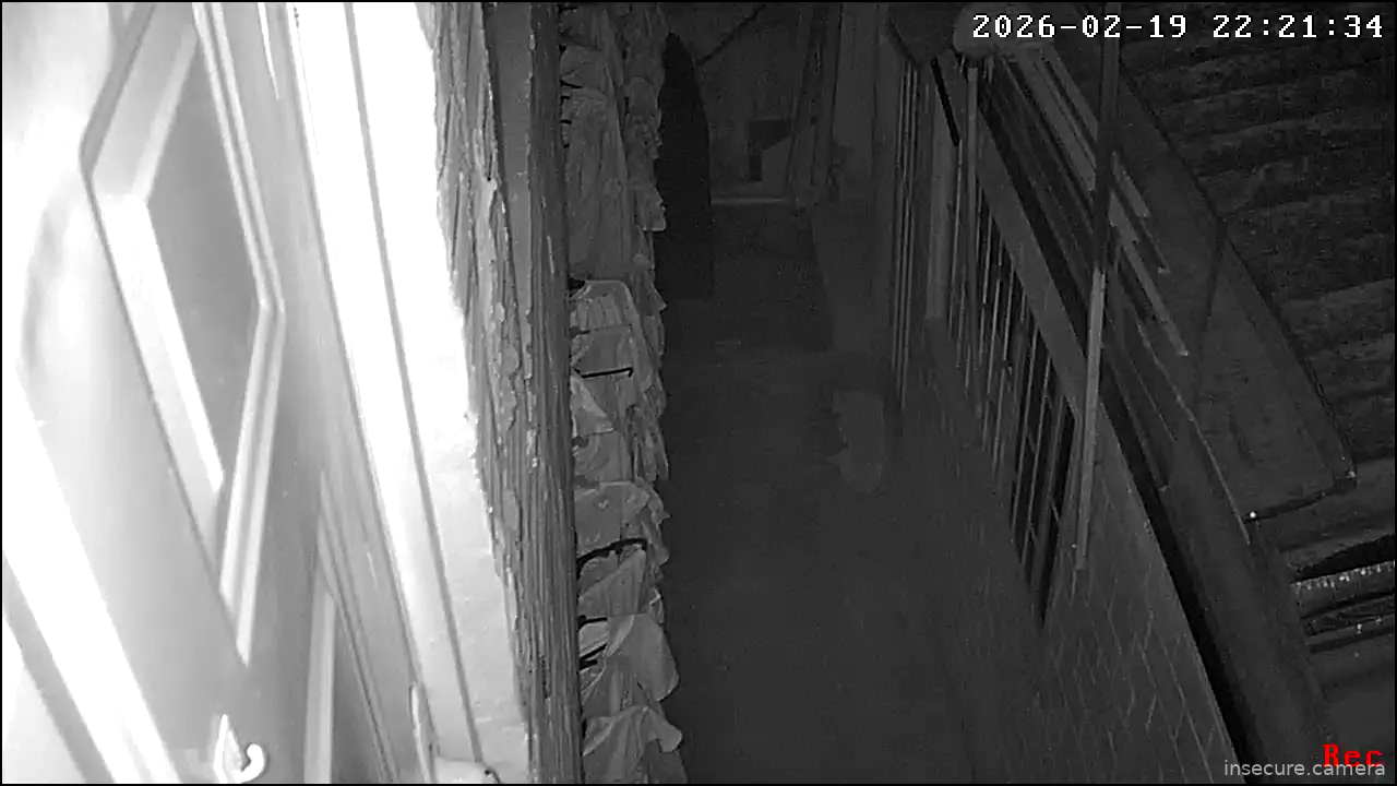 Capture from Feb 20, 2026 at 03:21 AM