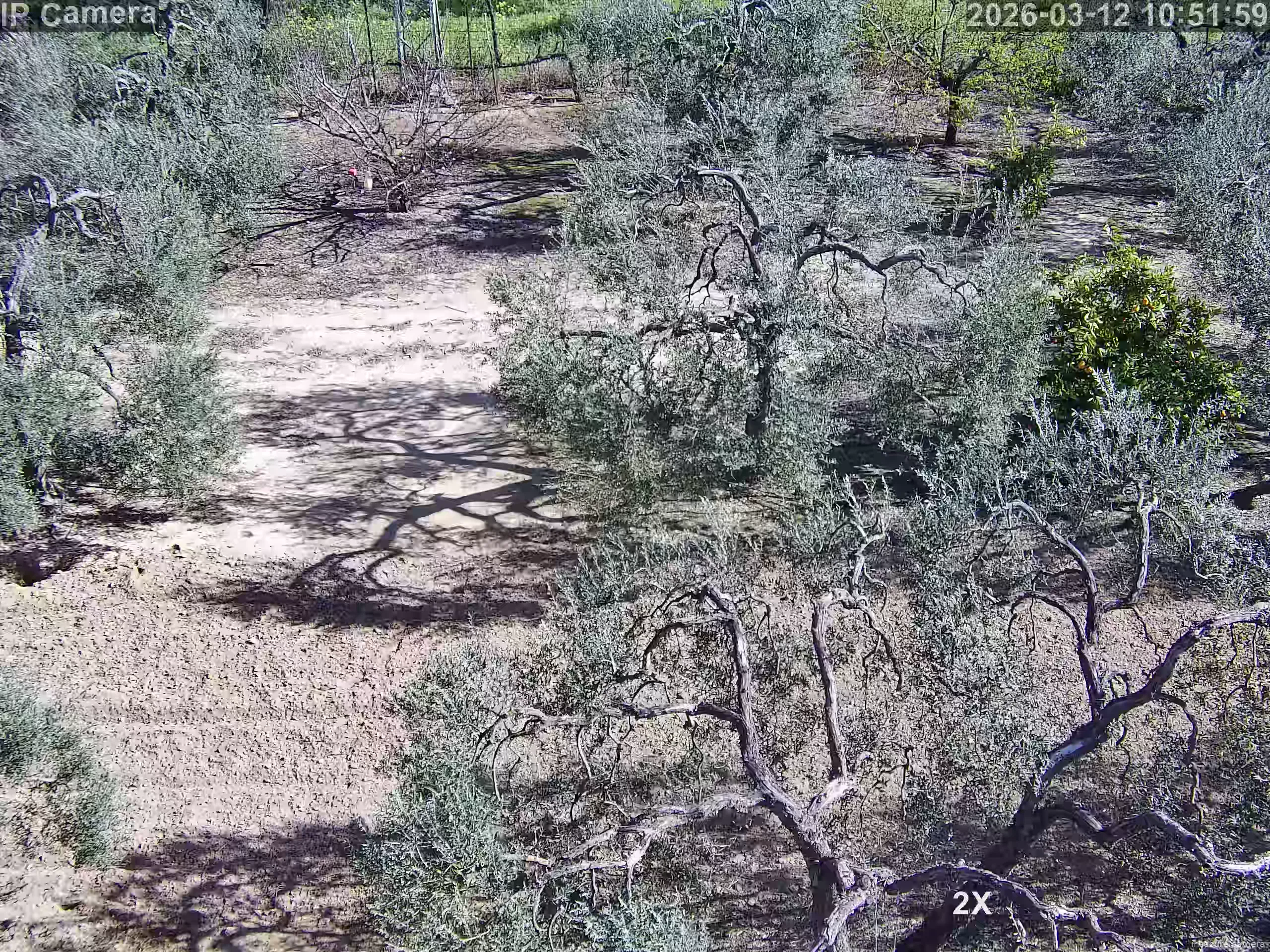 Capture from Mar 12, 2026 at 09:52 AM