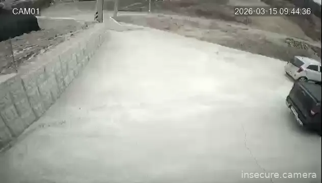 Camera in South Korea