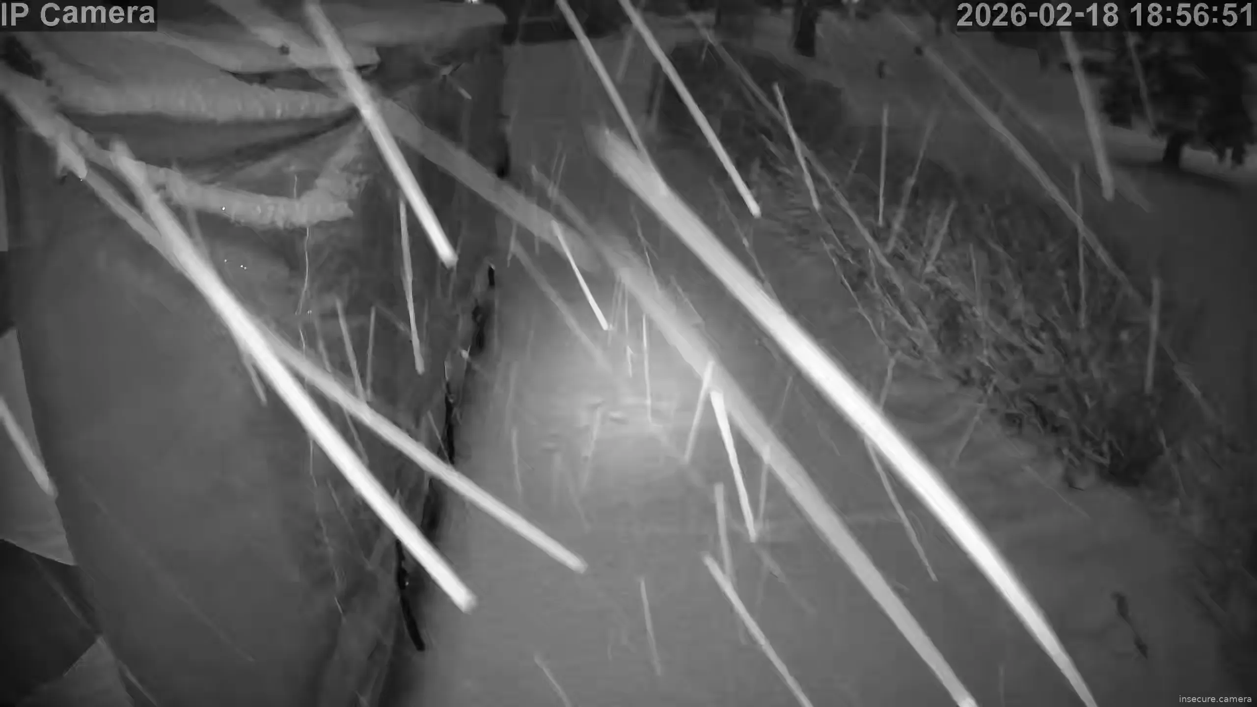 Capture from Feb 19, 2026 at 12:57 AM