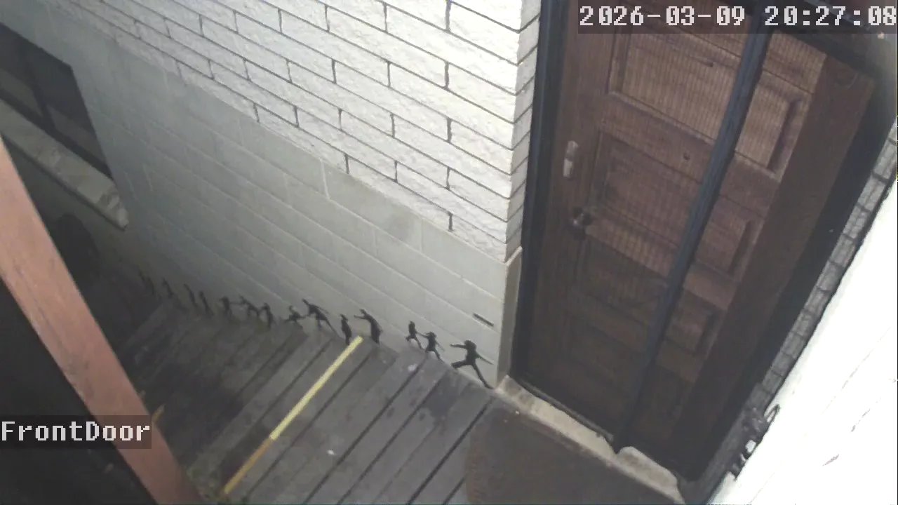 Camera in New Zealand