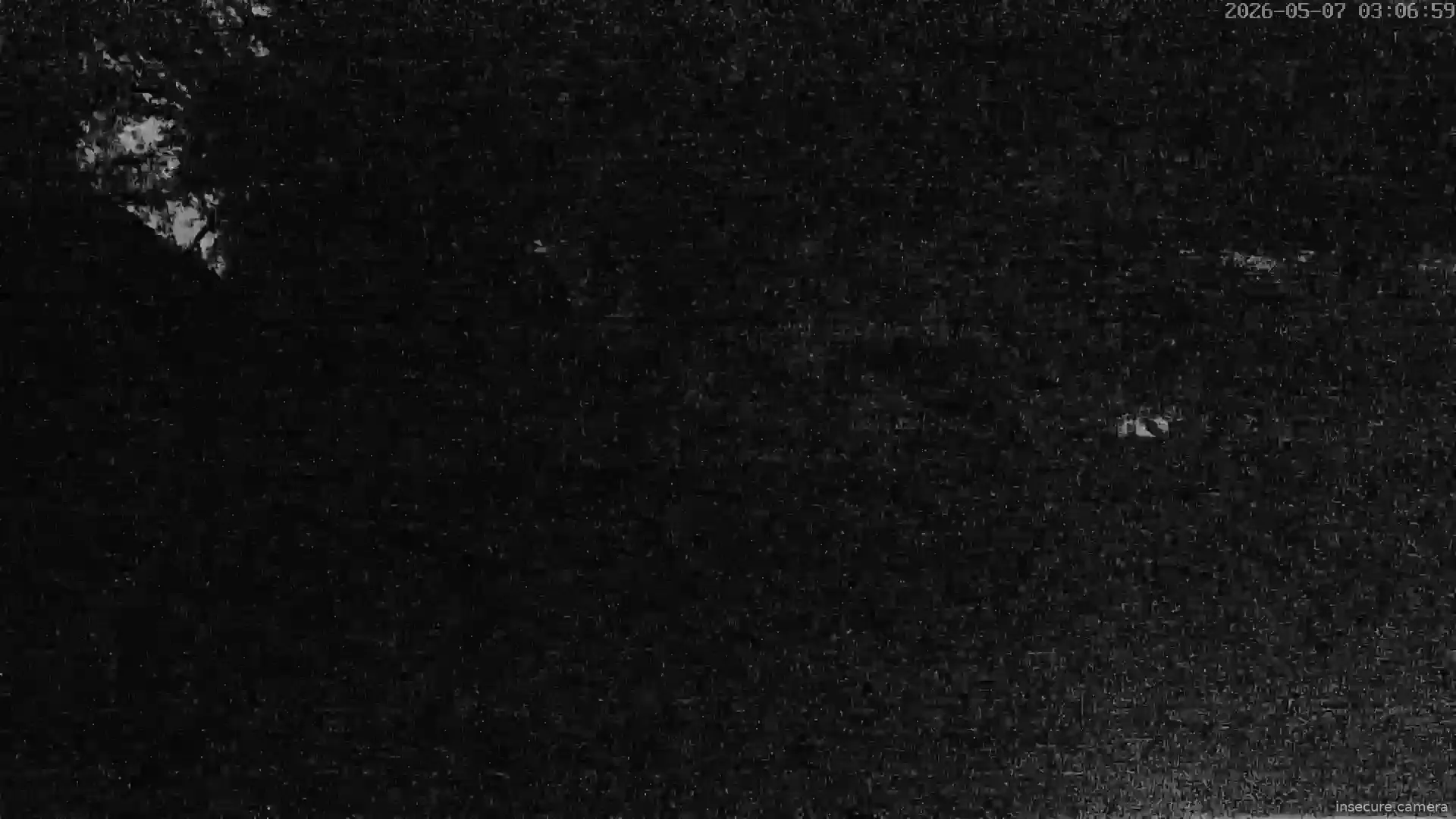 Camera in Germany