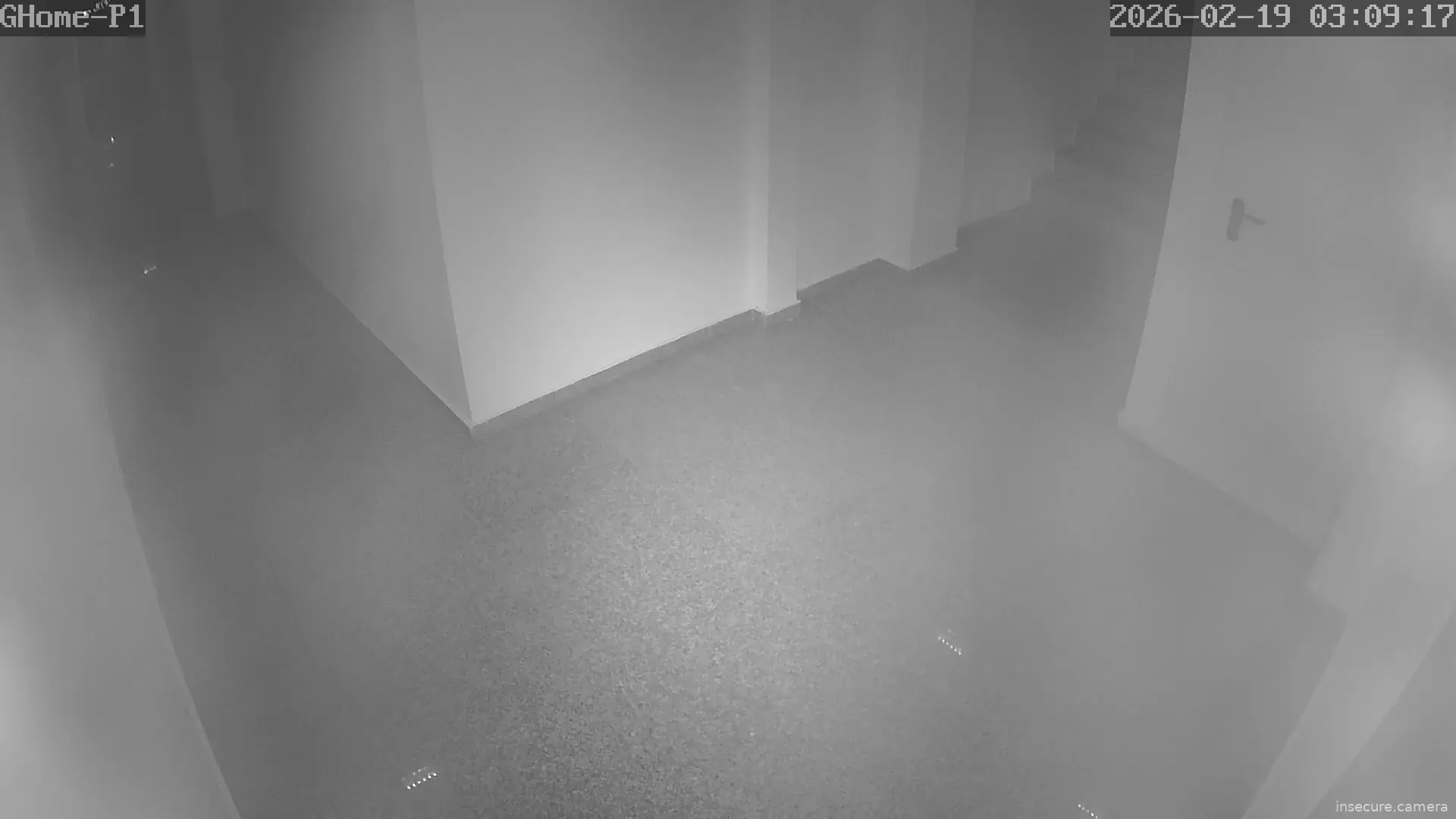 Capture from Feb 19, 2026 at 01:09 AM