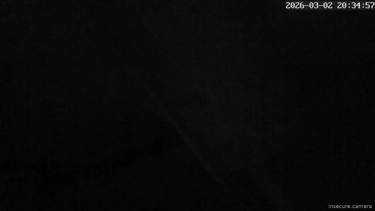 Capture from Mar 02, 2026 at 11:35 AM