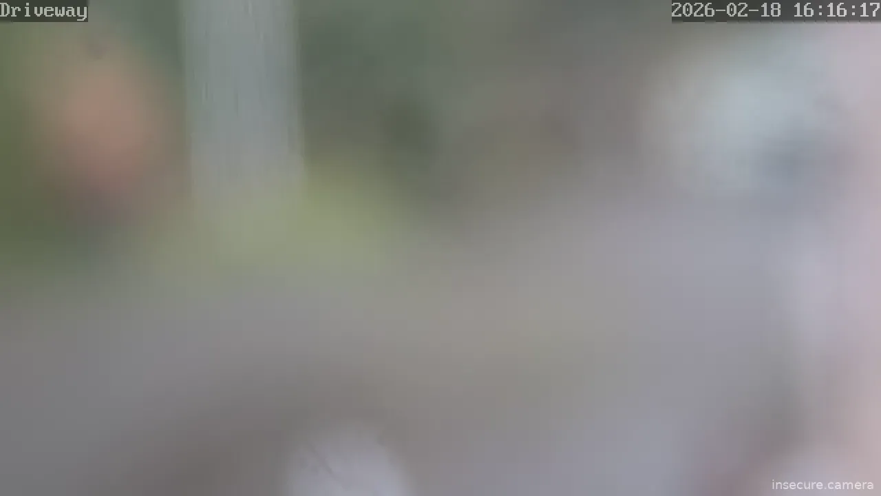 Capture from Feb 19, 2026 at 12:16 AM