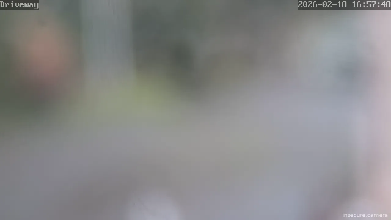 Capture from Feb 19, 2026 at 12:58 AM