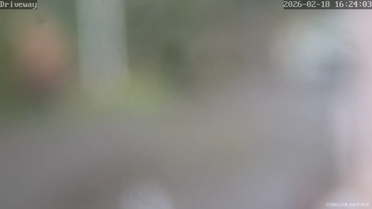 Capture from Feb 19, 2026 at 12:25 AM