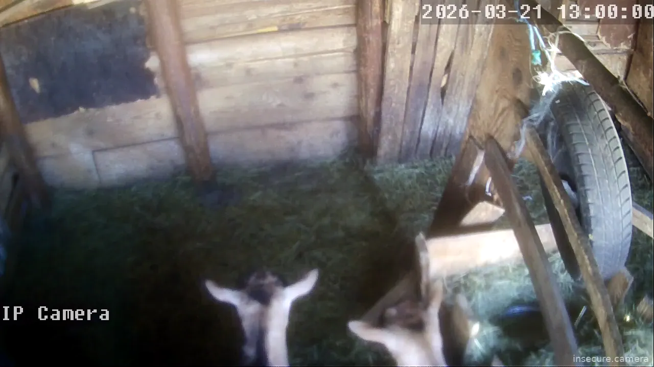 Capture from Mar 21, 2026 at 11:00 AM