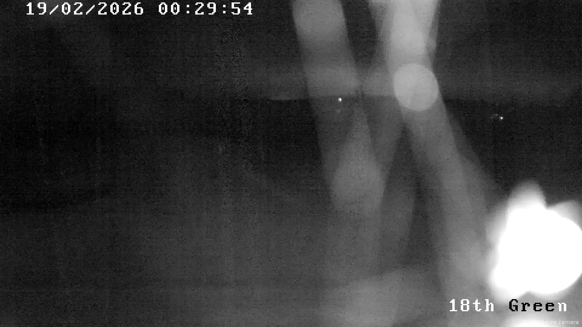 Capture from Feb 19, 2026 at 12:30 AM