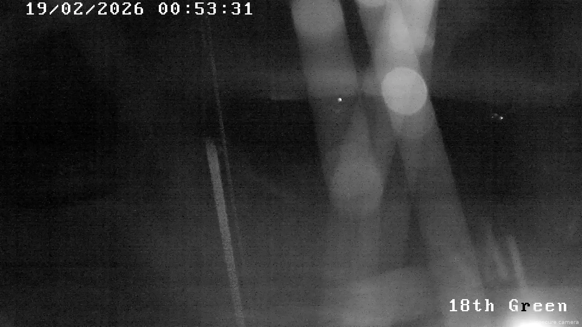 Capture from Feb 19, 2026 at 12:54 AM