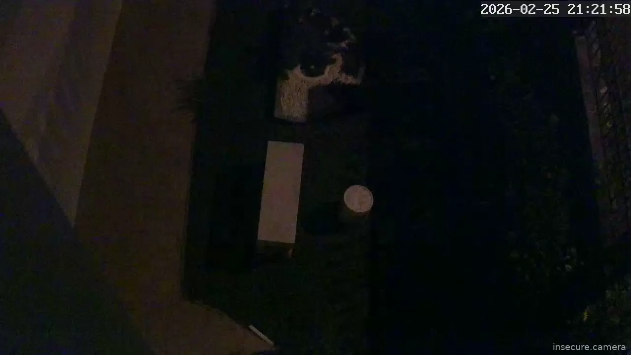 Capture from Feb 26, 2026 at 01:22 AM
