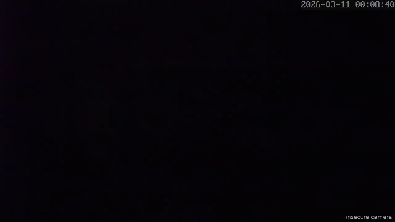 Capture from Mar 11, 2026 at 12:08 AM