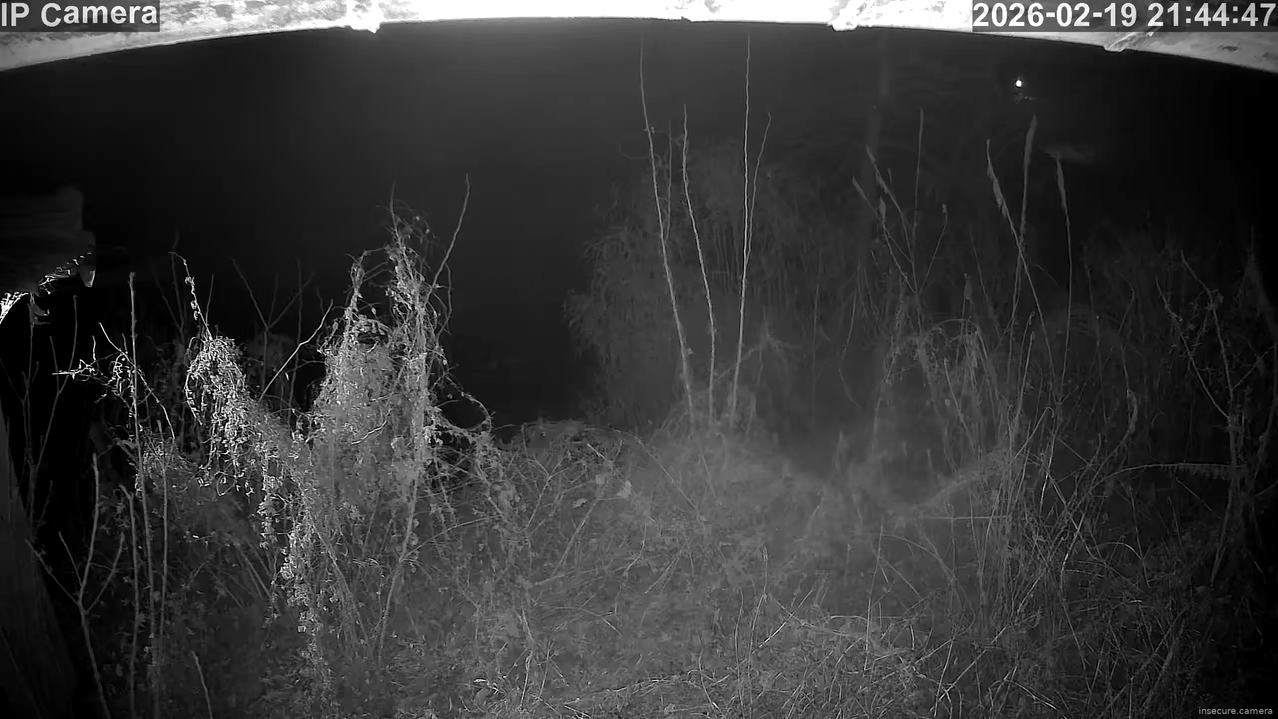 Capture from Feb 19, 2026 at 12:45 PM