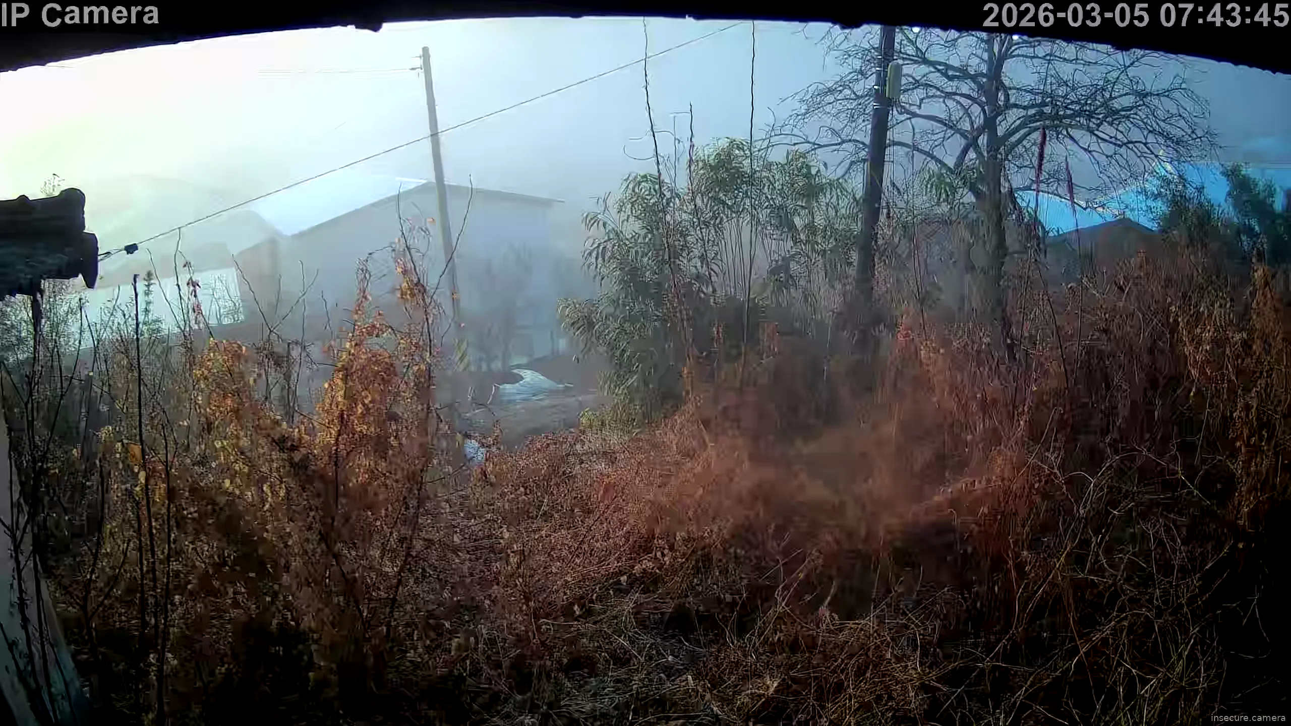 Capture from Mar 04, 2026 at 10:44 PM