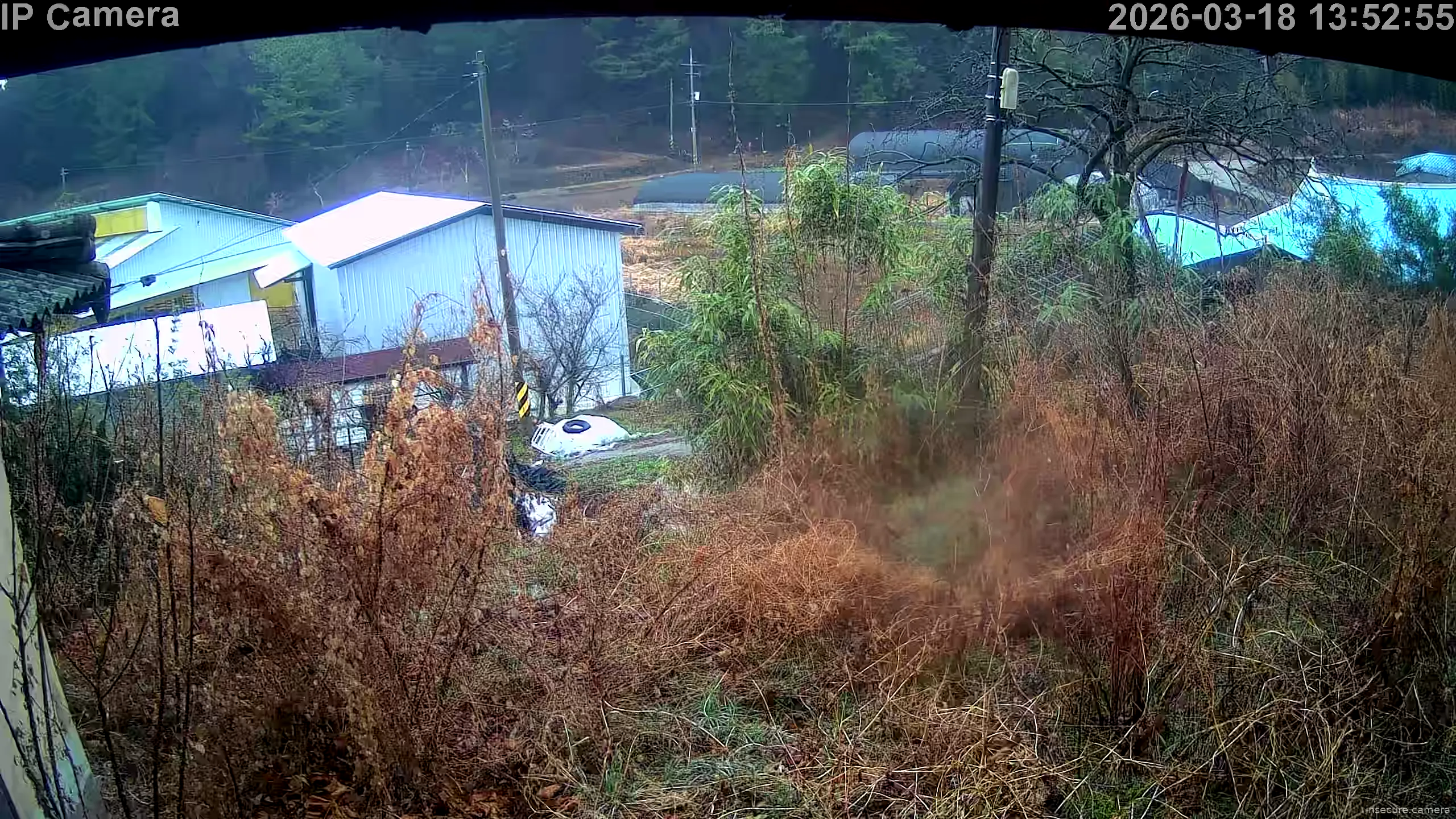 Camera in South Korea