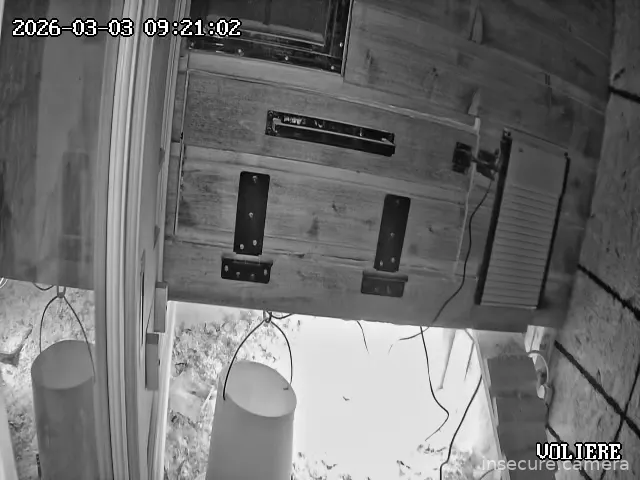 Capture from Mar 03, 2026 at 01:21 AM