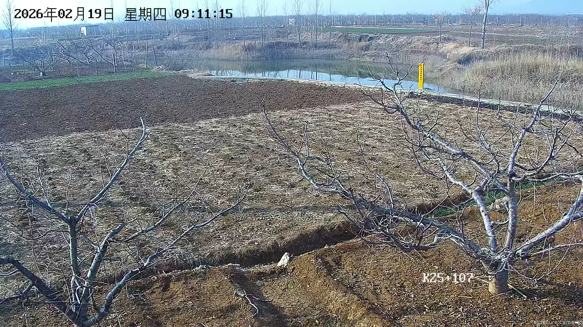 Capture from Feb 19, 2026 at 01:11 AM