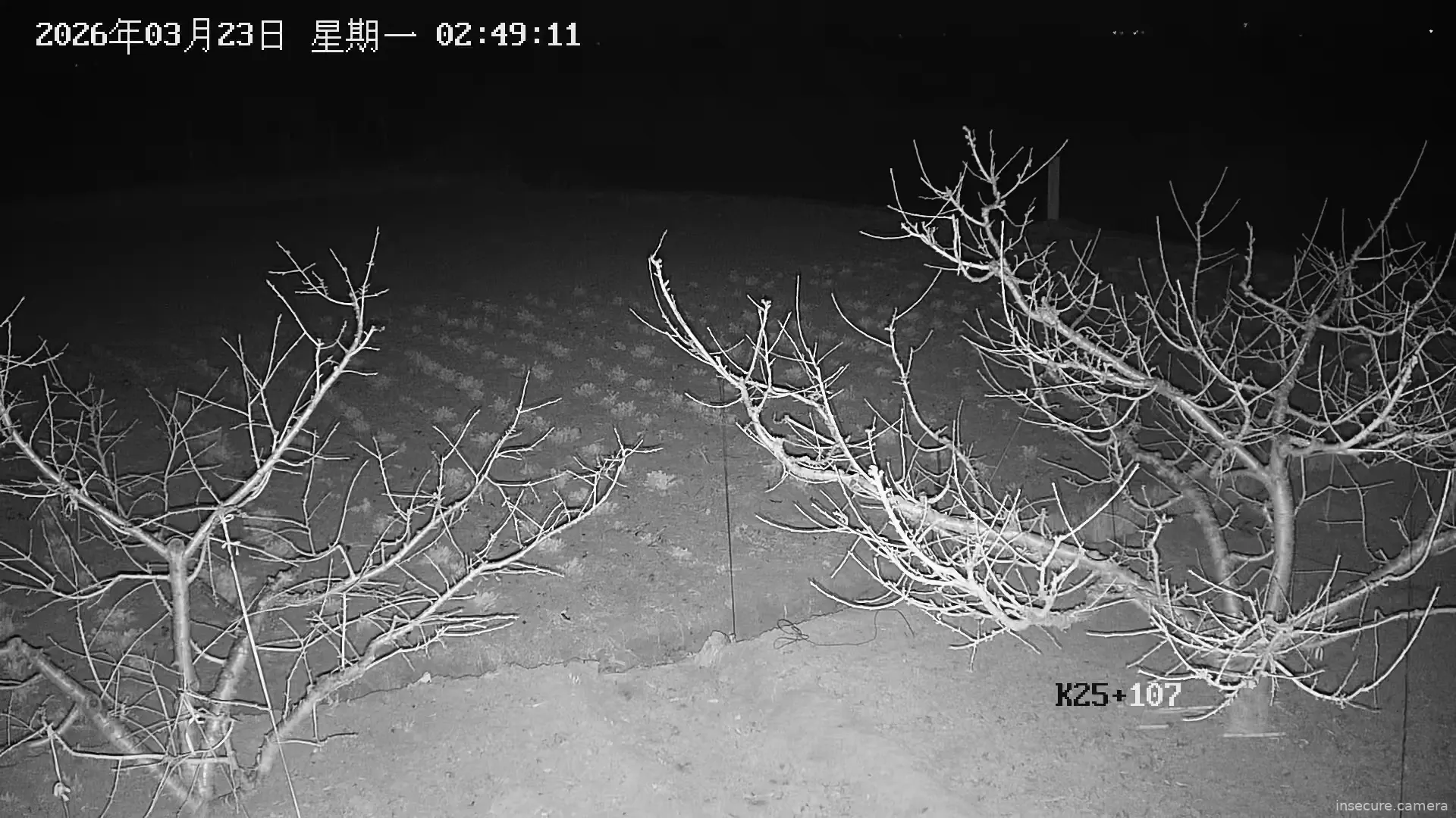 Capture from Mar 22, 2026 at 06:49 PM