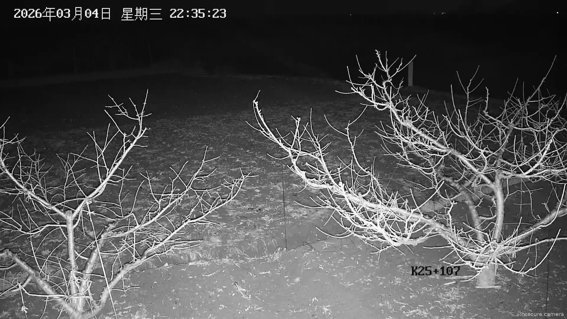 Capture from Mar 04, 2026 at 02:35 PM