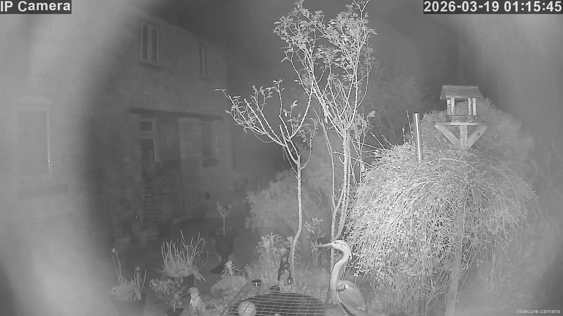 Camera in United Kingdom