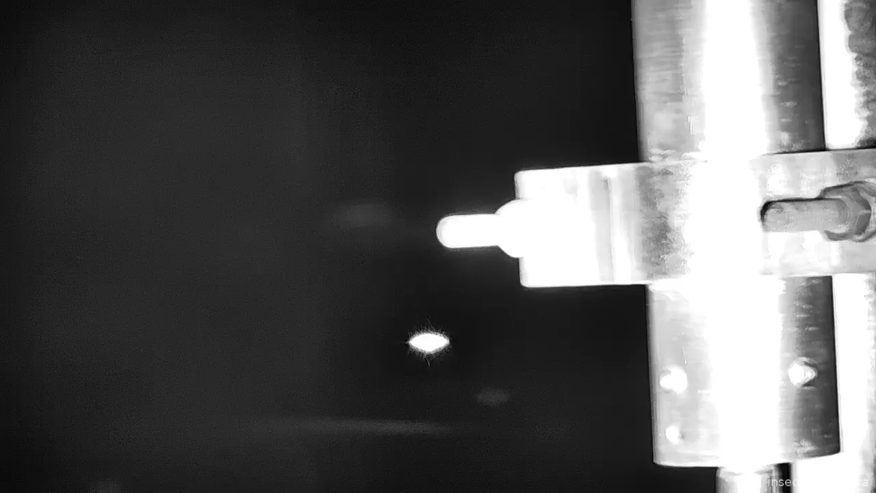 Capture from Feb 19, 2026 at 01:57 PM