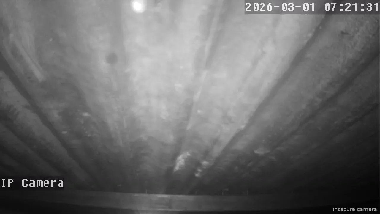 Capture from Feb 28, 2026 at 11:21 PM