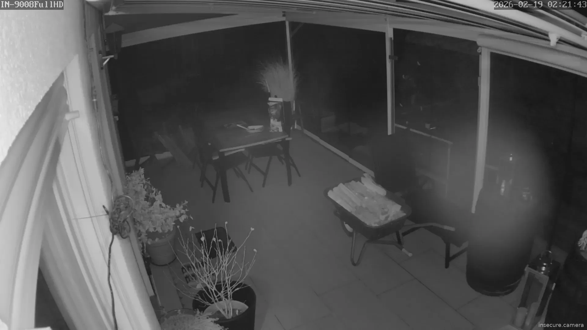 Capture from Feb 19, 2026 at 01:21 AM