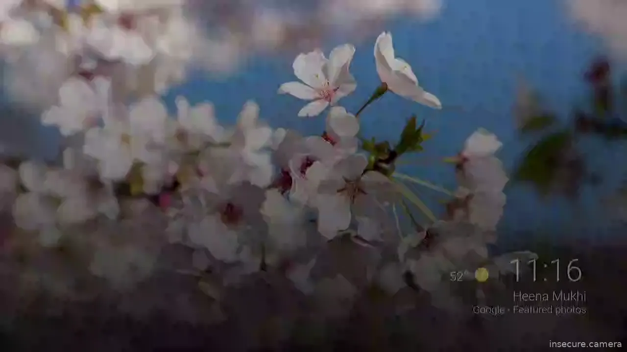 Capture from Mar 09, 2026 at 03:17 PM