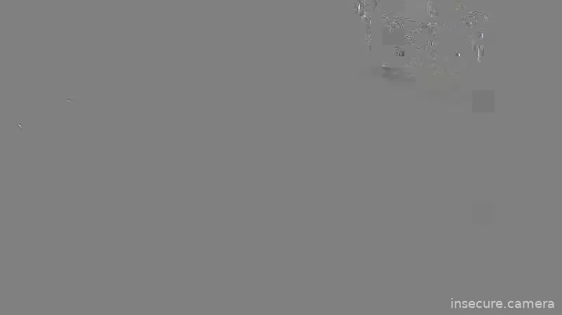 Capture from Feb 28, 2026 at 01:38 AM