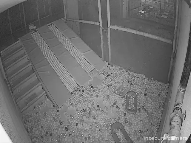 Capture from Mar 14, 2026 at 02:27 AM