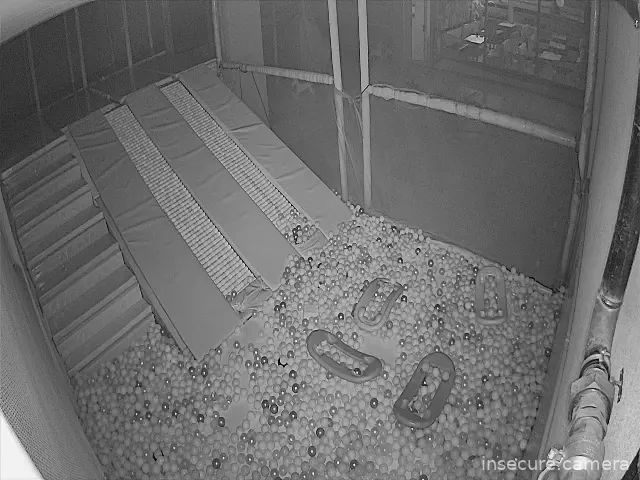 Capture from Mar 10, 2026 at 02:54 AM