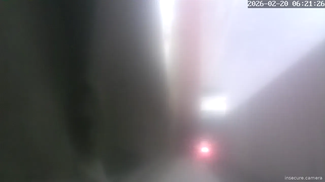 Capture from Feb 19, 2026 at 10:21 PM