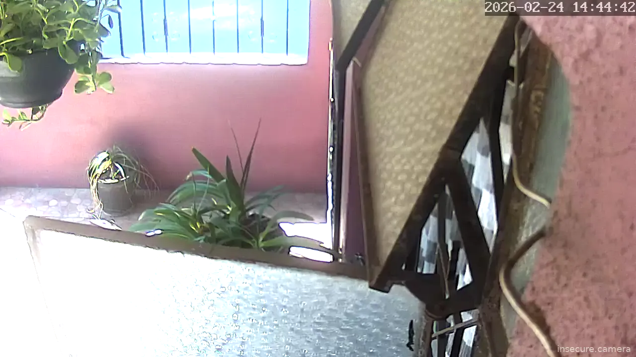 Capture from Feb 24, 2026 at 08:45 PM