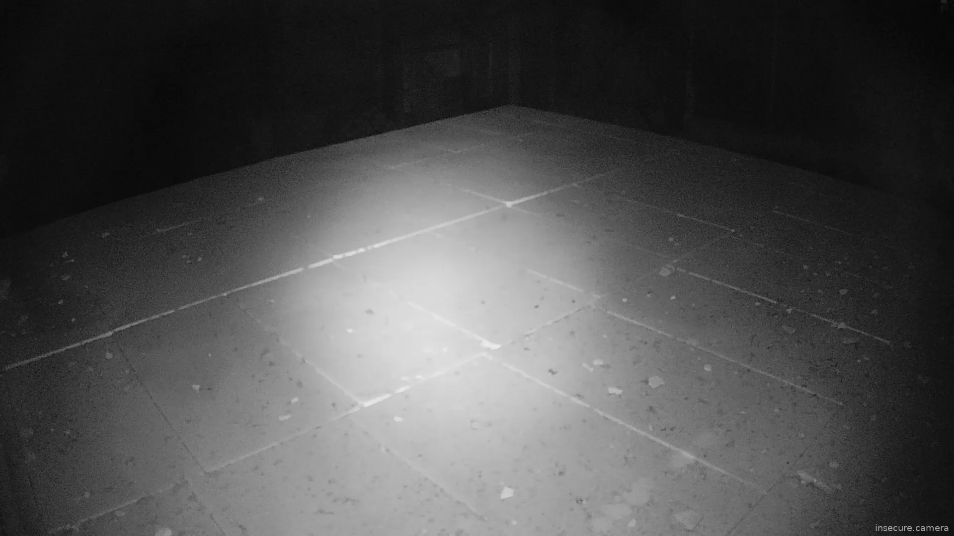 Capture from Feb 19, 2026 at 01:14 AM