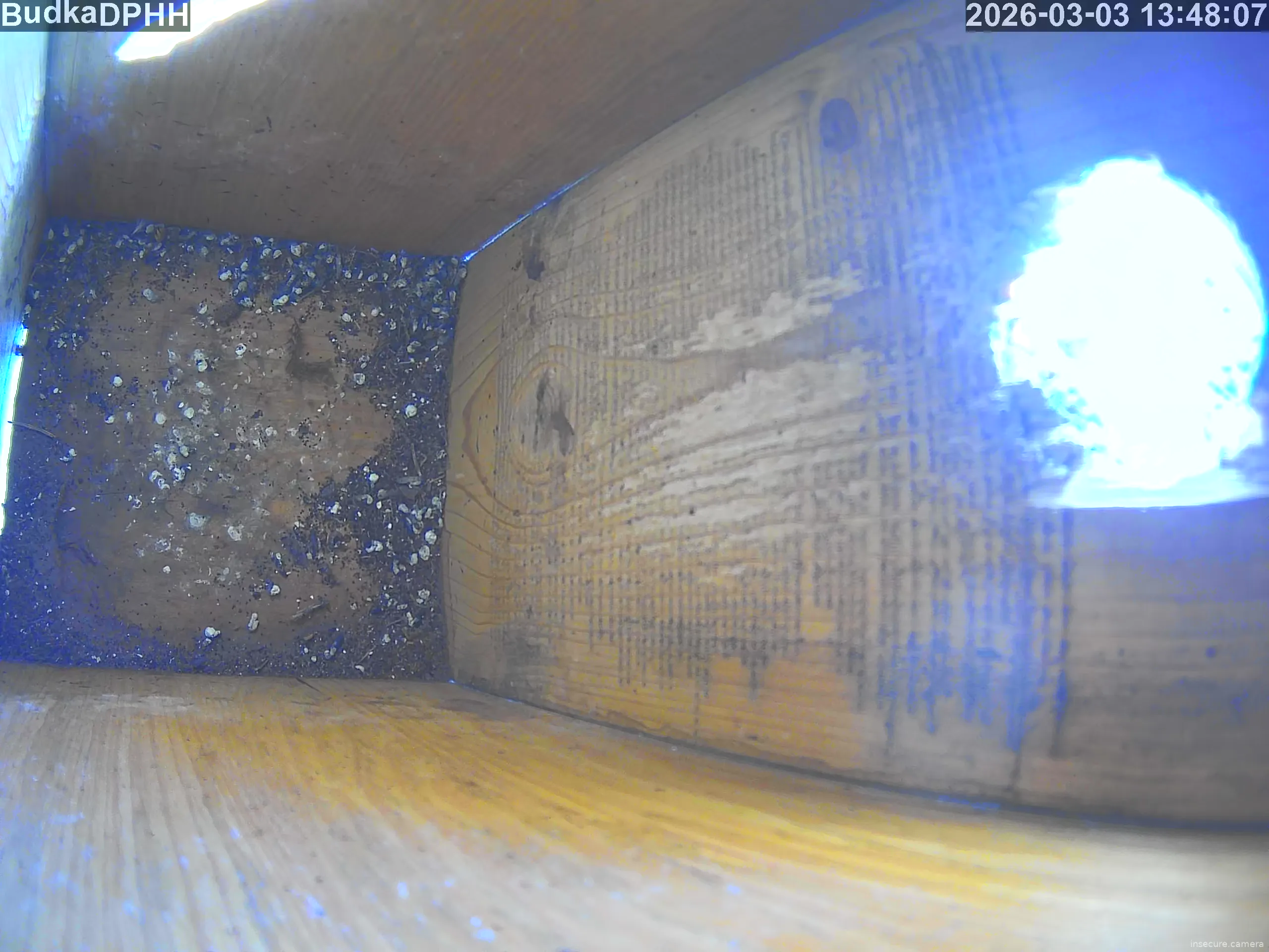 Capture from Mar 03, 2026 at 12:48 PM