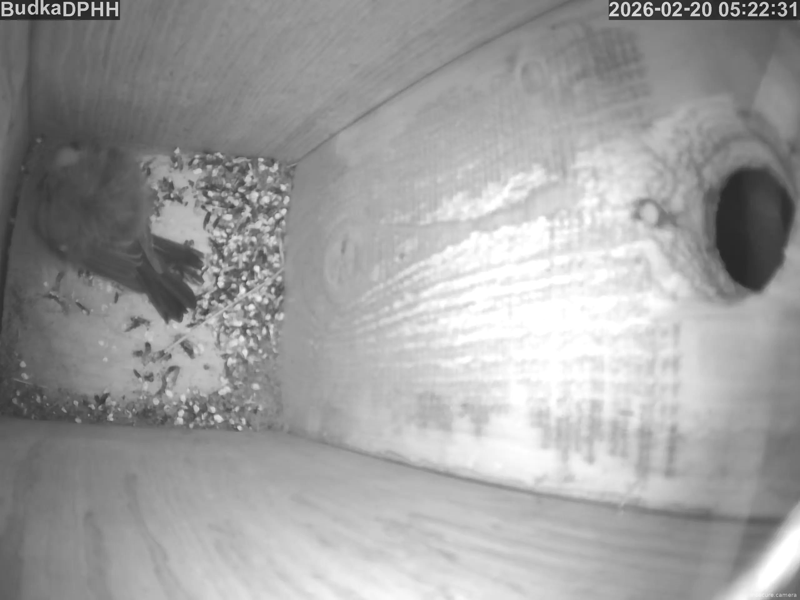 Capture from Feb 20, 2026 at 04:22 AM