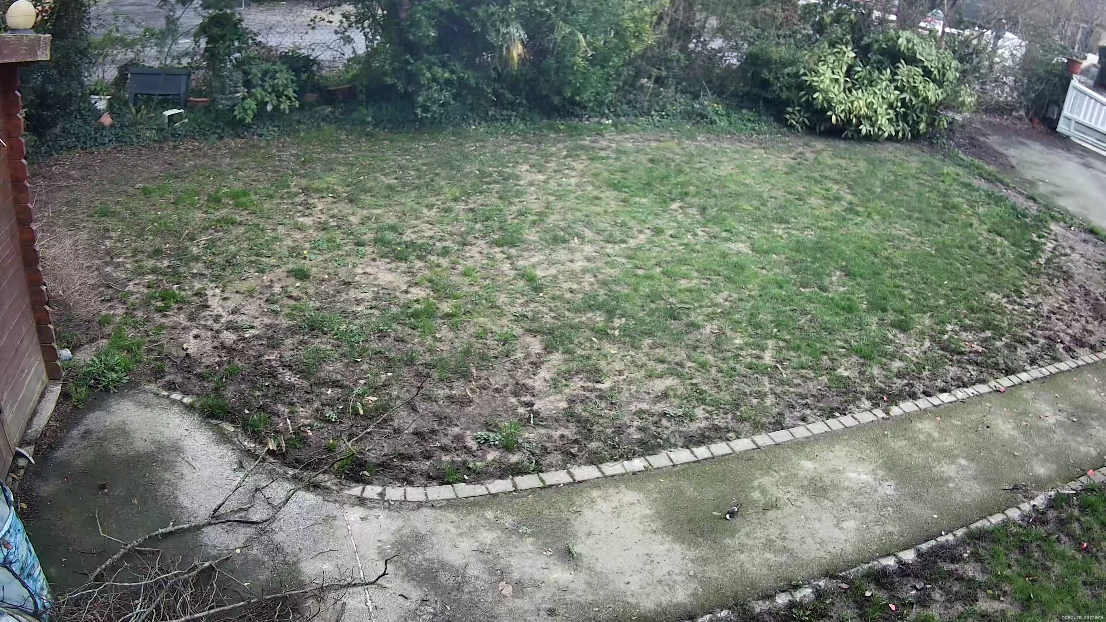 Capture from Feb 20, 2026 at 01:31 PM