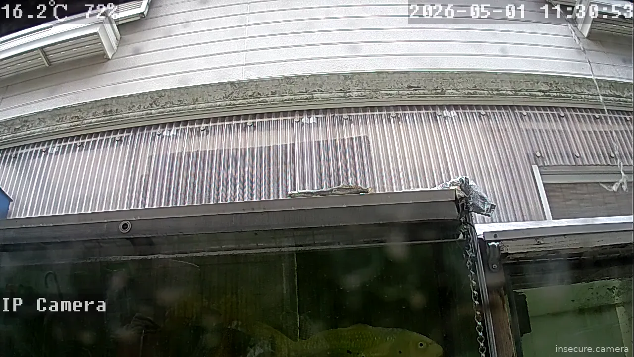 Camera in Japan