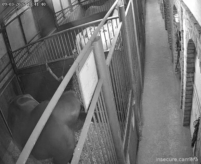 Capture from Mar 09, 2026 at 05:41 PM