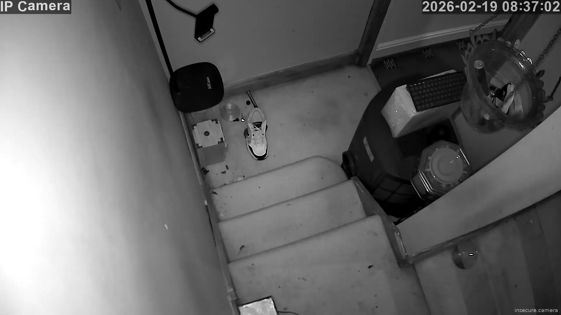 Capture from Feb 19, 2026 at 07:37 AM